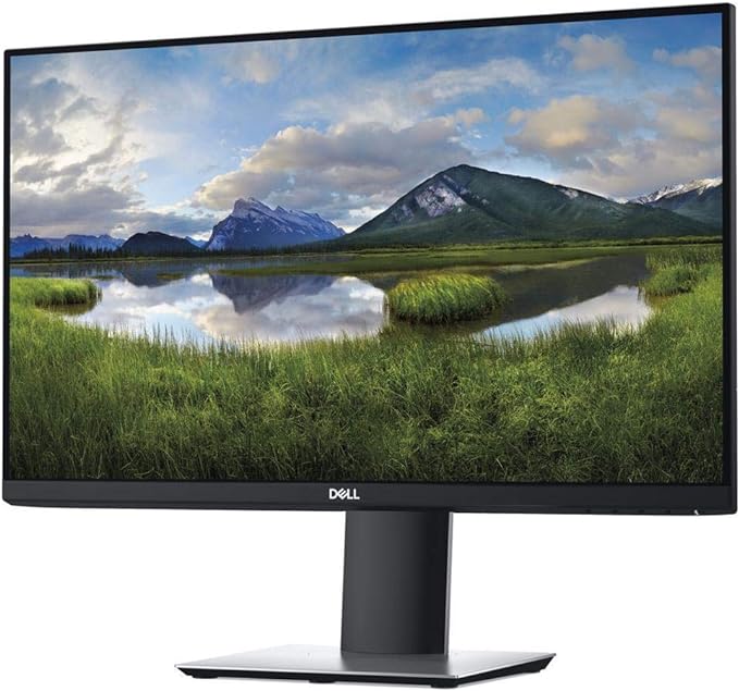 DELL 24-inch 1080p Monitor - P2419H (Renewed)